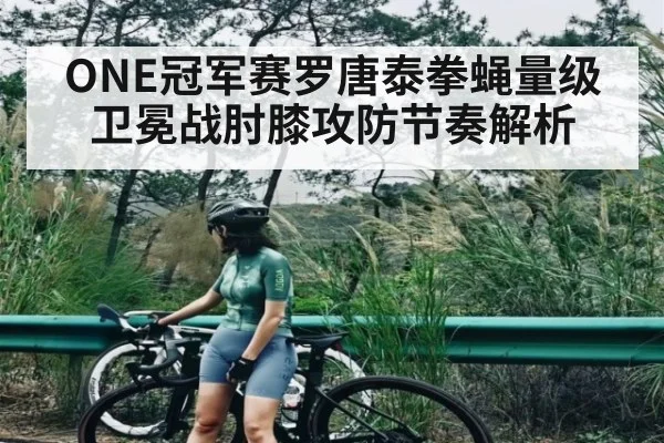 ONE冠军赛罗唐泰拳蝇量级卫冕战肘膝攻防节奏解析